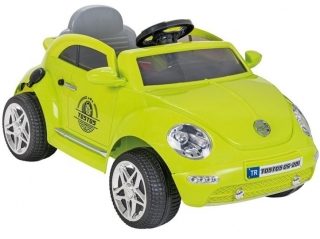Pilsan Turtle