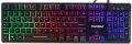 Polygold K9 resim