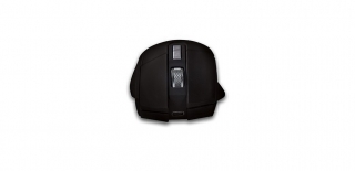 Inca IWM-555 Mouse