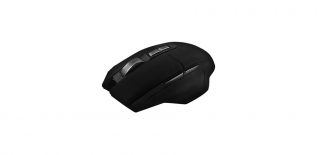 Inca IWM-555 Mouse