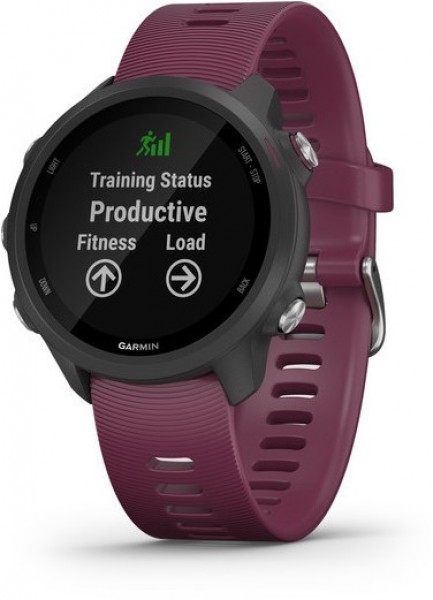 Garmin Forerunner 245 Aktivite Saati (Mor / Siyah)