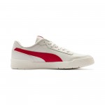 Puma Caracal resim