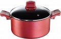 Tefal Titanium Character Derin Tencere 20 cm resim