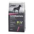 Golosi Kuzulu ve Patatesli Adult 12 kg resim