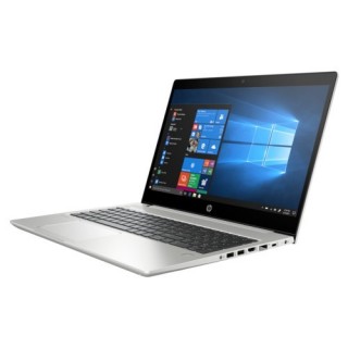 HP ProBook 455 G6 (6MQ06EA) Laptop