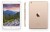 Apple iPad Mini 3 Tablet