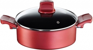 Tefal Titanium Character Kısa Tencere 24 cm