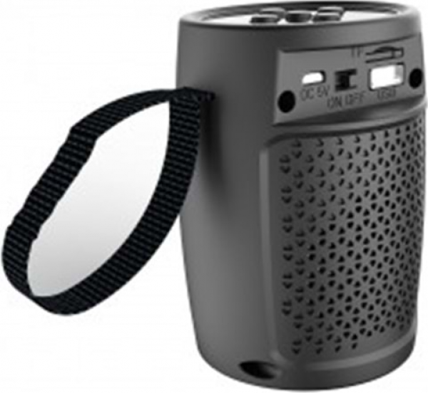 Platoon PL-4312 Bluetooth Hoparlör