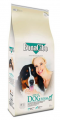 Bonacibo Adult Dog Form Yetişkin 15 kg resim