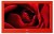 Vestel 22PF5021K Full HD (FHD) TV