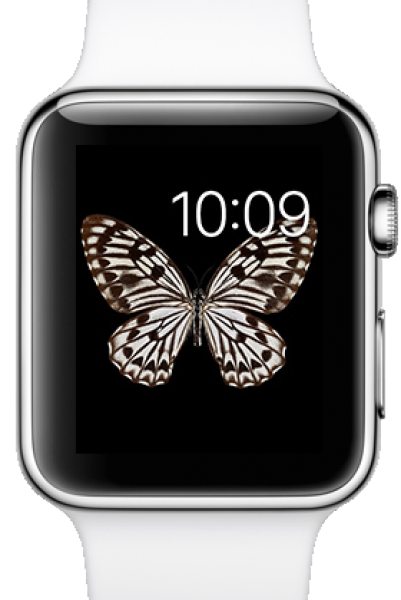 Apple Watch (38 mm) Paslanmaz Çelik Kasa ve Beyaz Spor Kordon Akıllı Saat