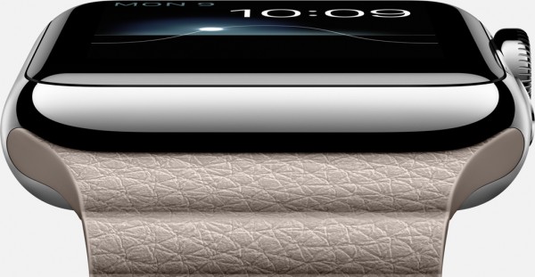 Apple Watch (42 mm) Paslanmaz Çelik Kasa ve Taş Rengi Deri Loop Akıllı Saat