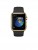 Apple Watch Edition (38 mm) 18 Ayar Sarı Altın Kasa ve Siyah Spor Kordon Akıllı Saat