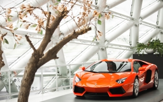 2016 Lamborghini Aventador LP 700-4 6.5L V12 700 HP (4x4)
