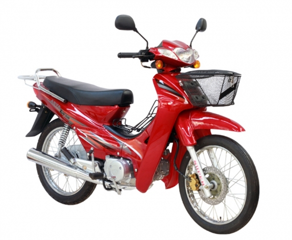 Asya Turkcup Klasik Cub
