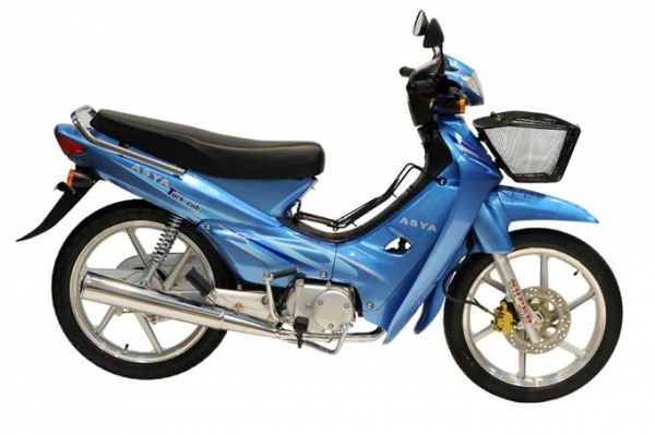 Asya Turkcup Lux Cub