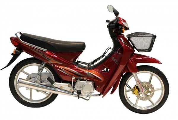 Asya Turkcup Lux Cub
