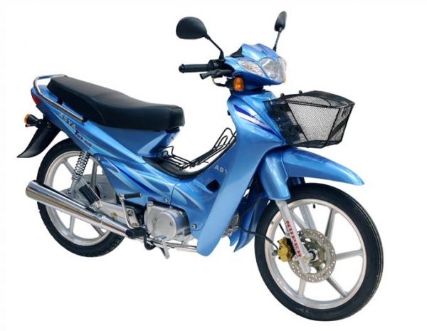 Asya Turkcup Lux Cub