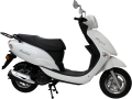 Mondial 100 Loyal