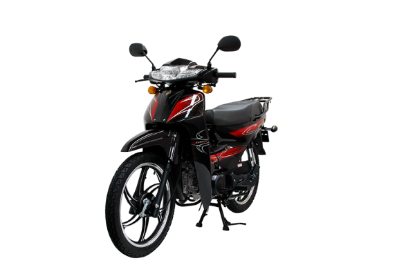 Mondial 100 SFC Snappy X Cub