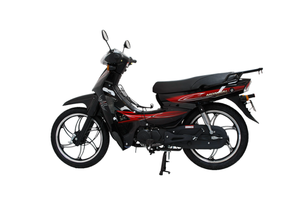 Mondial 100 SFC Snappy X Cub