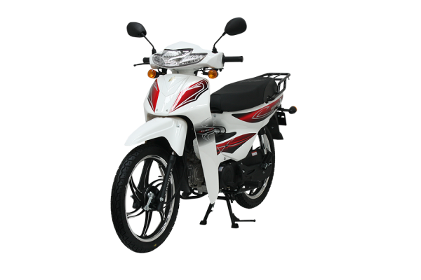 Mondial 100 SFC Snappy X Cub