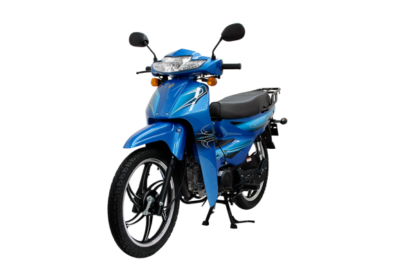 Mondial 100 SFC Snappy X Cub