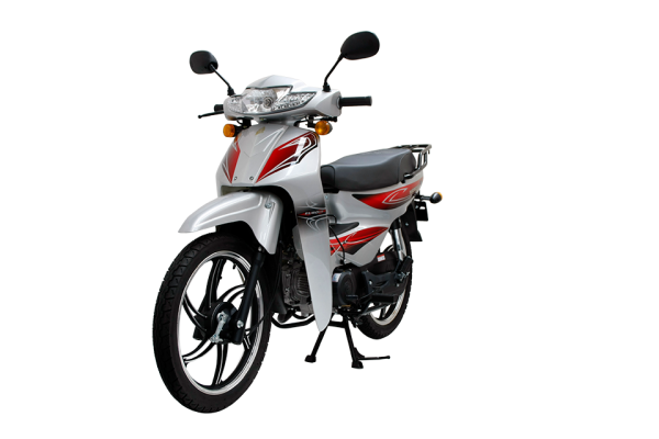 Mondial 100 SFC Snappy X Cub