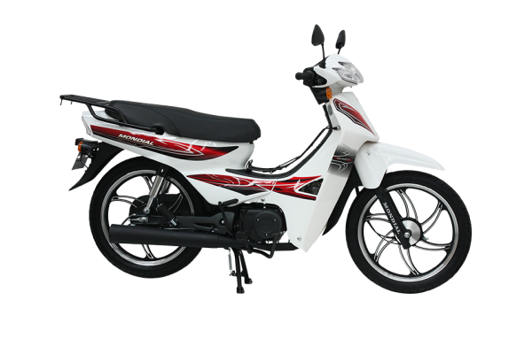 Mondial 100 SFC Snappy X Cub