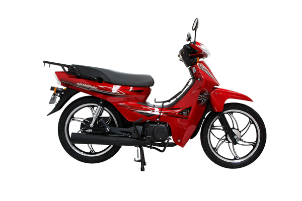 Mondial 100 SFC Snappy X Cub