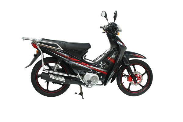 Mondial 100 MFH Cub