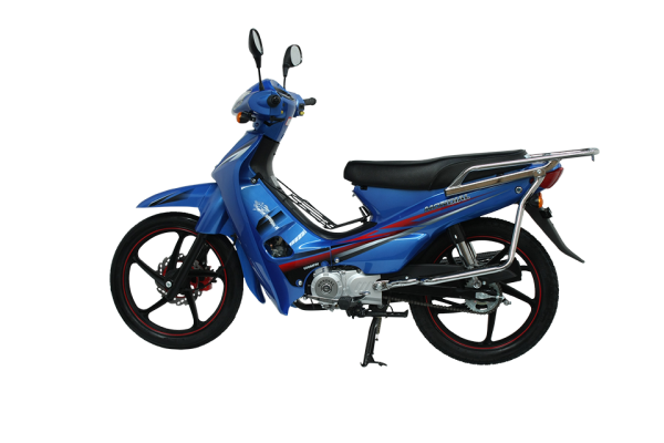 Mondial 100 MFH Cub