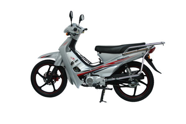 Mondial 100 MFH Cub