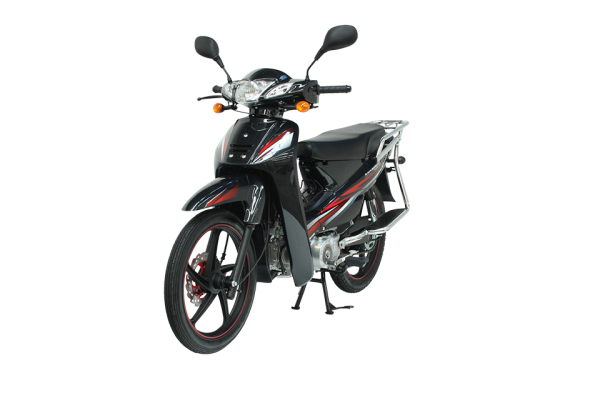 Mondial 100 MFH Cub