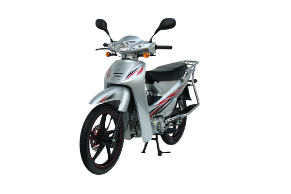Mondial 100 MFH Cub