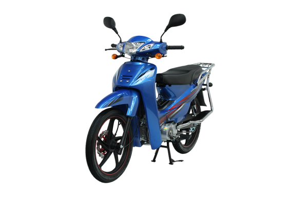 Mondial 100 MFH Cub