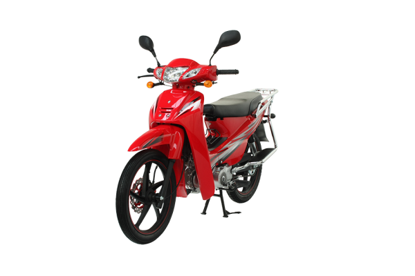 Mondial 100 MFH Cub