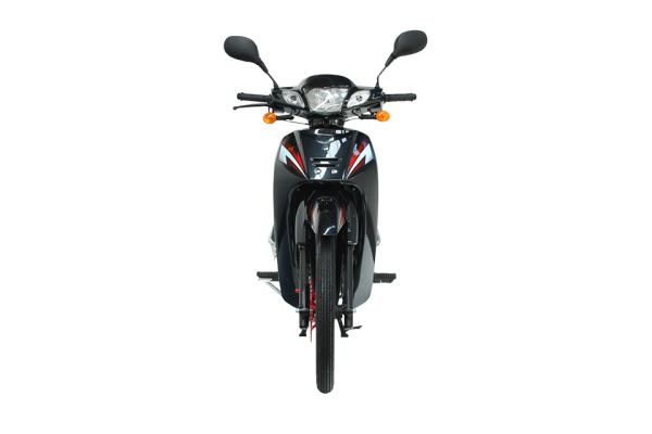 Mondial 100 MFH Cub
