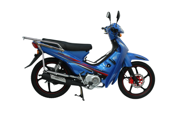 Mondial 100 MFH Cub