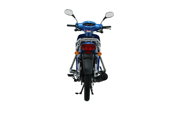 Mondial 100 MFH Cub