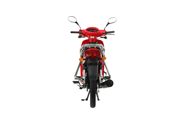 Mondial 100 MFH Cub