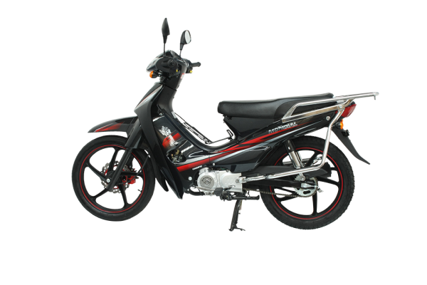 Mondial 100 MFH Cub