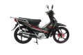 Mondial 100 MFH