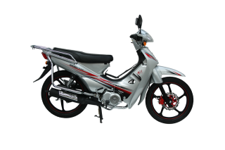 Mondial 100 MFH Cub
