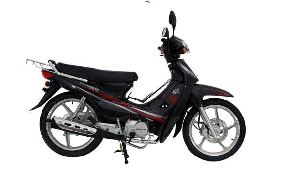 Mondial 100 MFM Cub
