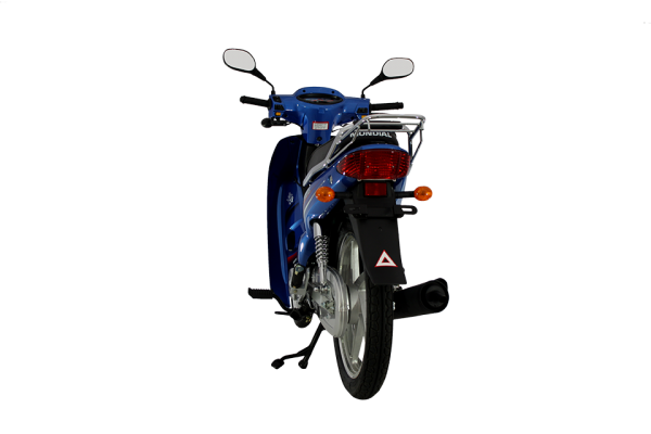 Mondial 100 MFM Cub