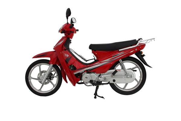 Mondial 100 MFM Cub