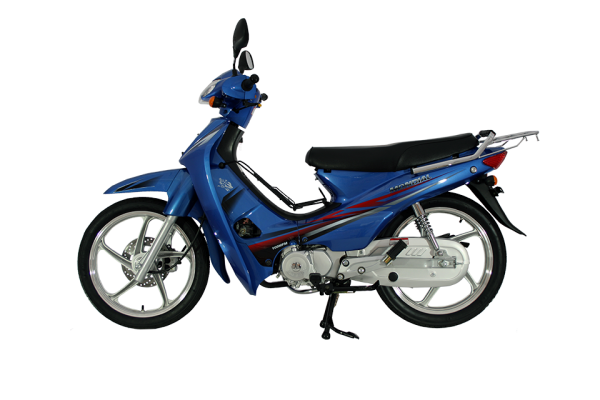 Mondial 100 MFM Cub