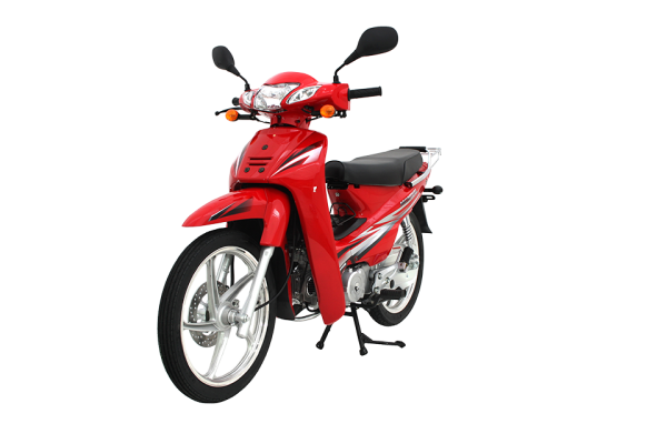 Mondial 100 MFM Cub
