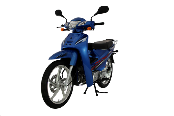 Mondial 100 MFM Cub